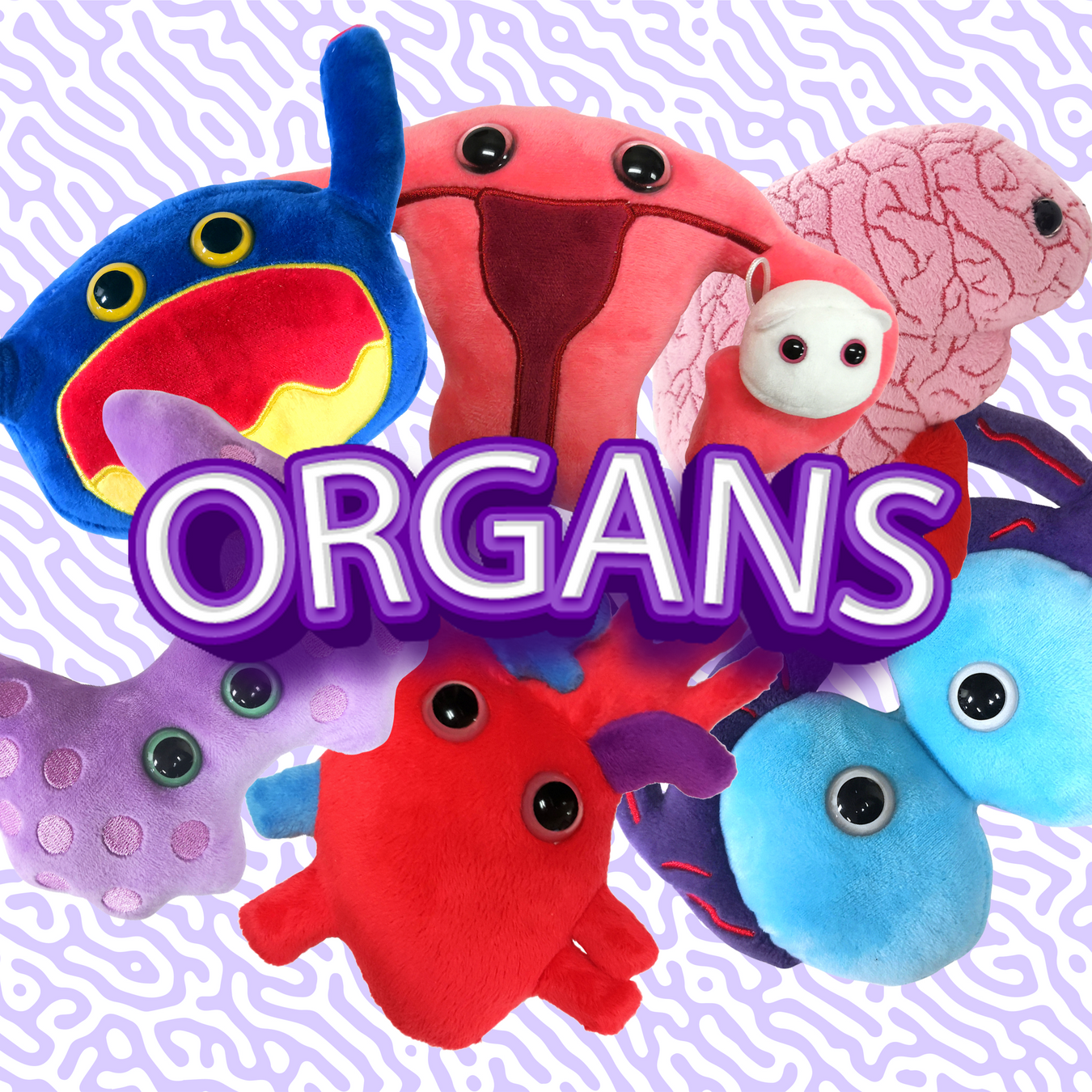 Organs