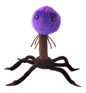 Escherichia virus | T4-Bacteriophage