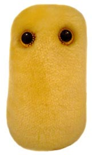 Cough | Bordetella pertussis