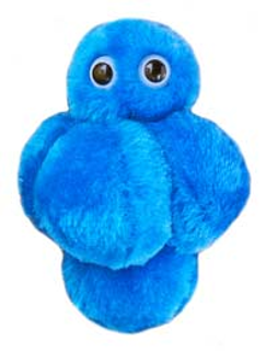 Staph | Staphylococcus aureus
