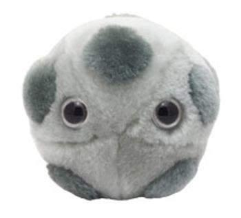 HPV | Human papillomavirus