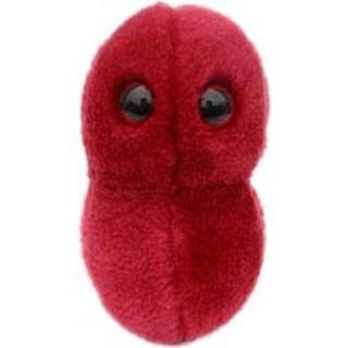 Sore Throat | Streptococcus