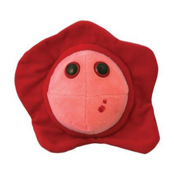 Cold Sore | Herpes simplex virus-1