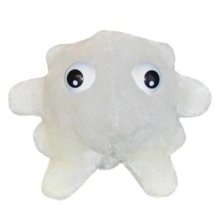 White Blood Cell | Leukocyte
