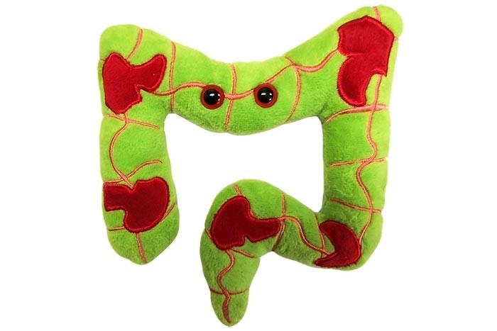 Crohn's Disease and Colitis
