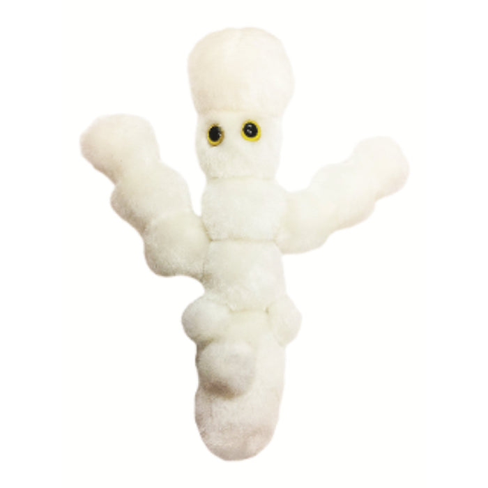 Candida | Candida albicans