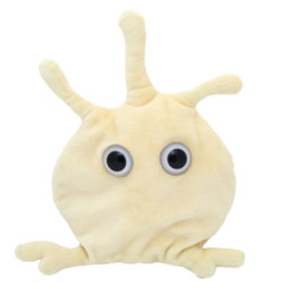 Platelet | Thrombocyte