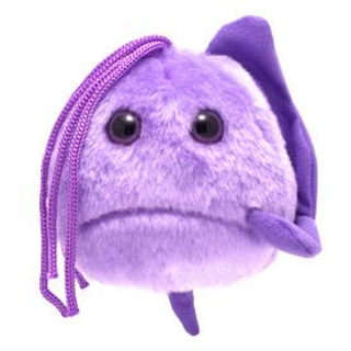 Trichomoniasis | Trichomonas vaginalis