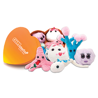 Heart Warming Gift Box