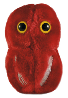 Flesh Eating | Streptococcus pyogenes