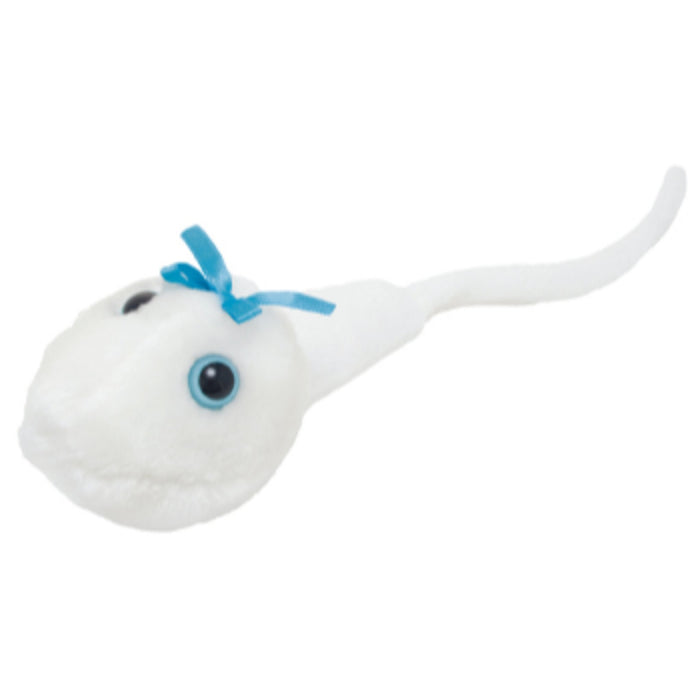 Sperm Cell | Spermatozoon