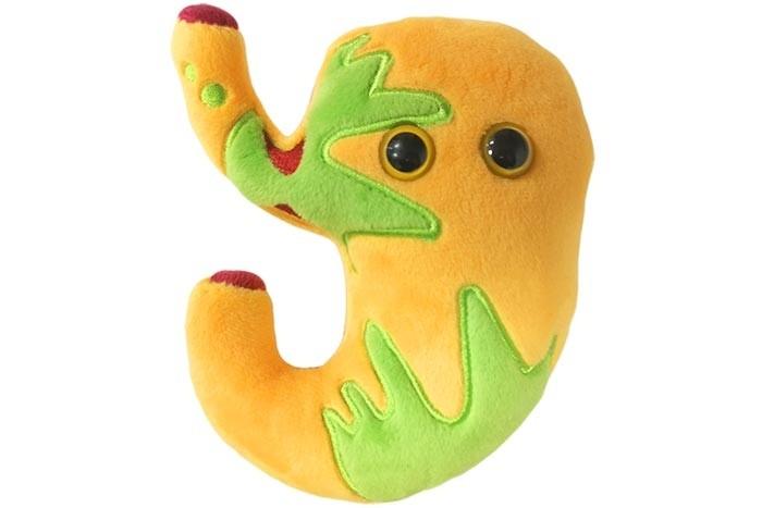 Stomach With Acid Reflux