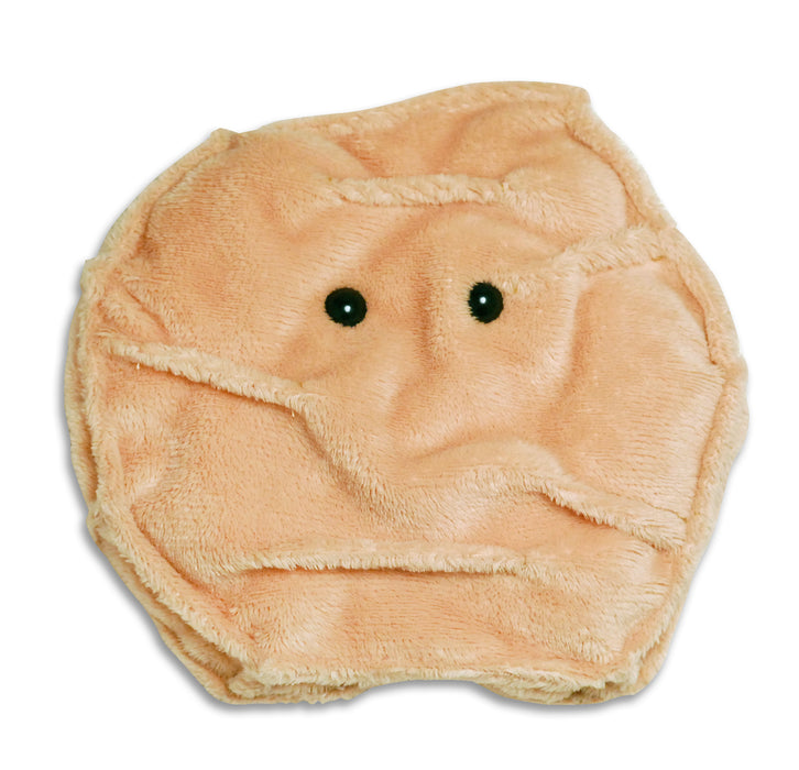 Skin Cell | Keratinocyte