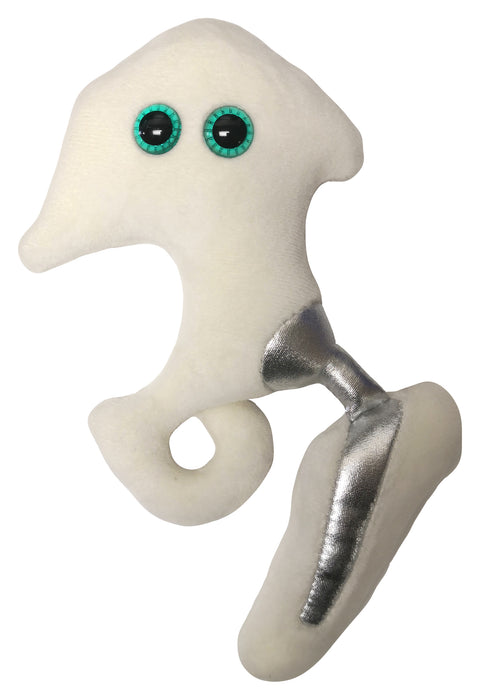 Hip Replacement