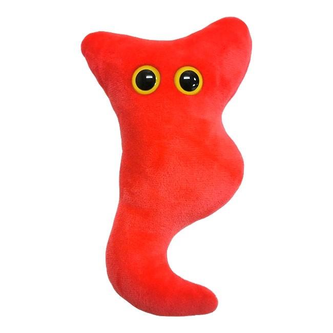 Appendix Organ