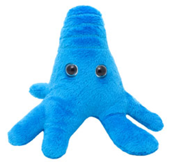 Amoeba | Amoeba proteus Blue