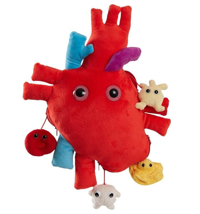 XL Heart Organ | With Minis