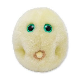 Hay Fever | Grass pollen