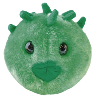 Chlamydia | Chlamydia trachomatis