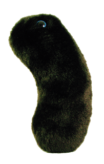Black Death | Yersinia pestis
