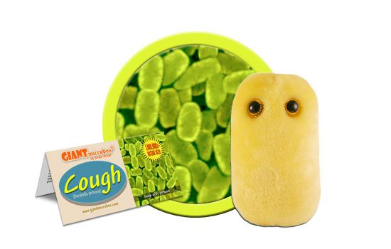 Cough | Bordetella pertussis