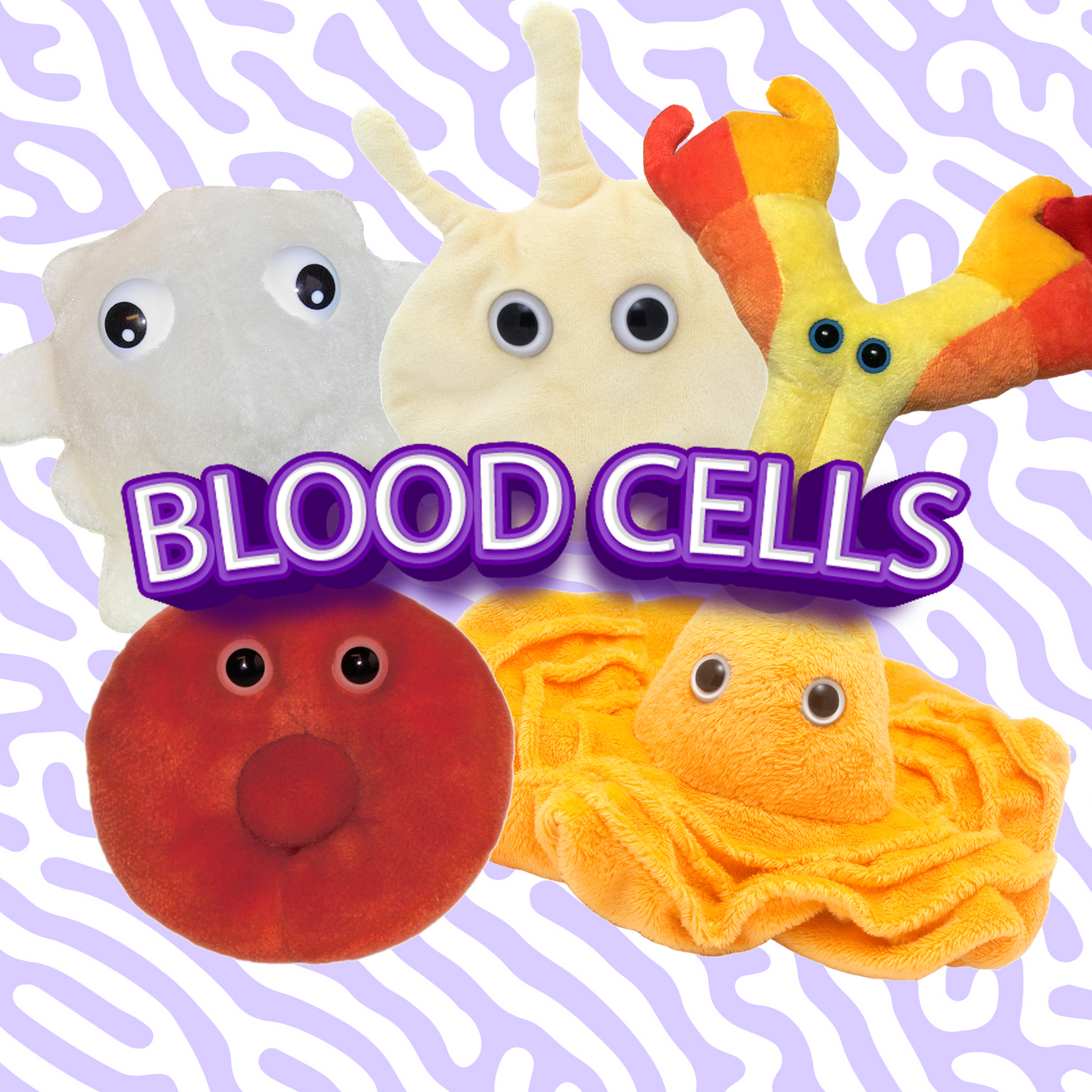 Blood Cells