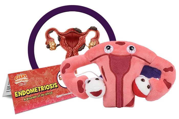 Endometriosis Plush Toy Organ