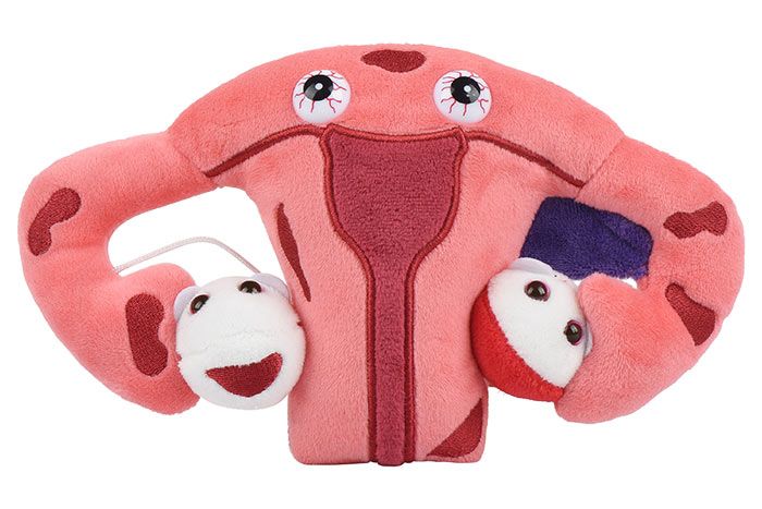 Endometriosis Plush Toy Organ