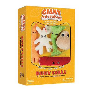Body Cells | Gift Box
