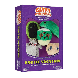 Exotic Vacation | Gift Box