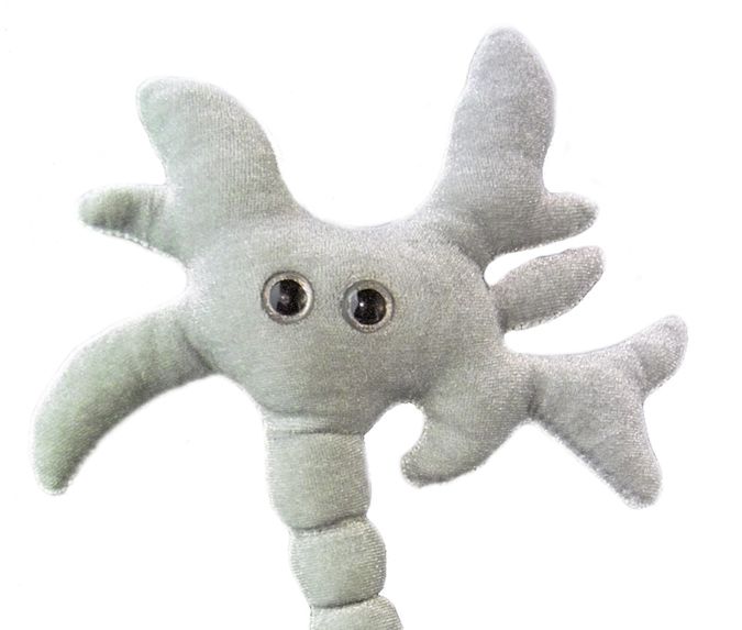 Brain Cell | Neuron