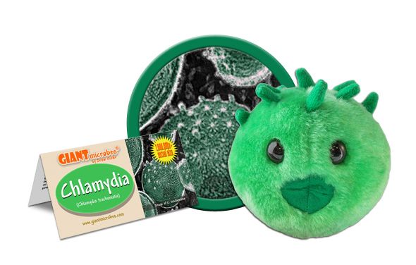 Chlamydia | Chlamydia trachomatis