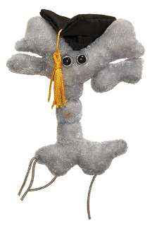 Graduation Brain Cell | Neuron with Academic Cap