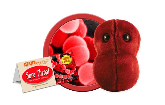 Sore Throat | Streptococcus
